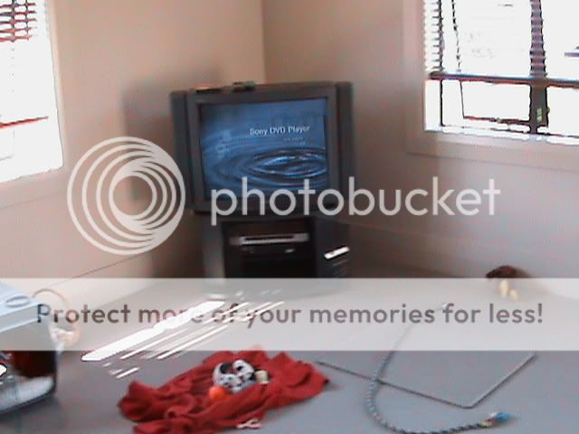DSC00047.jpg
