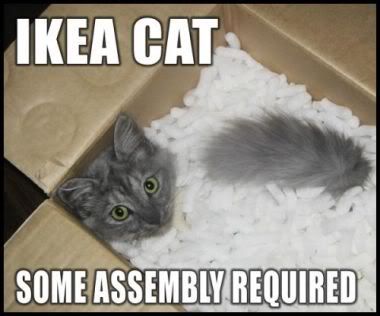 LOLcat-Ikea.jpg