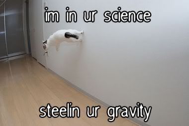 LOLcat-sciencegravity.jpg