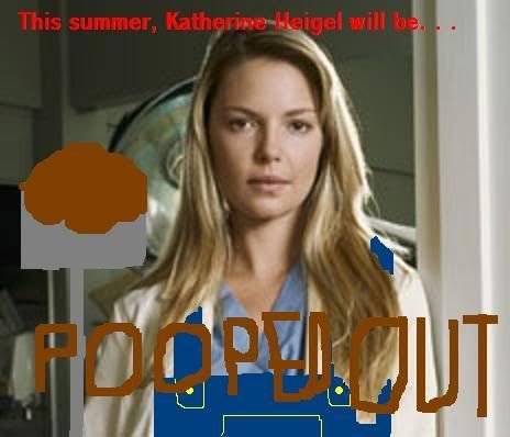 katherine-heigl-greys-anatomy.jpg
