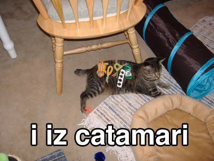 catamari.jpg