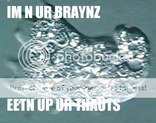 LOLBRAINAMOEBA.jpg