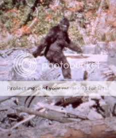 bigfoot.jpg