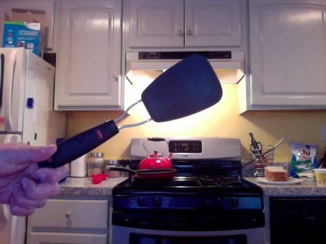 Spatula.jpg