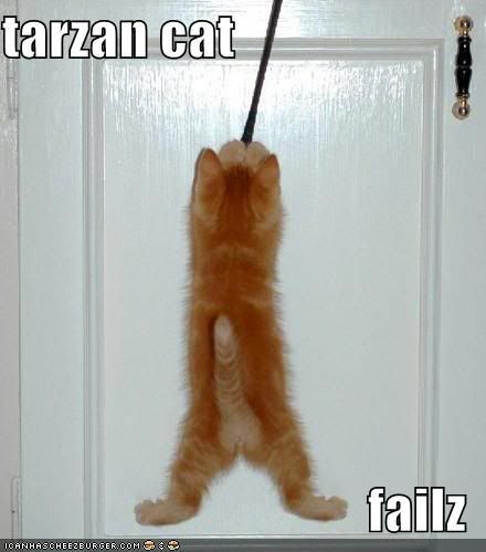 locat-tarzanfail.jpg