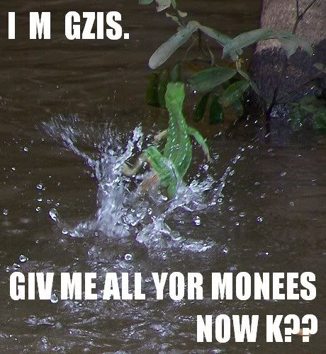 LOLGZISLIZRRD.jpg