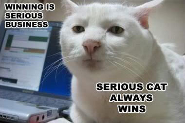 LOLcat-Serious.jpg