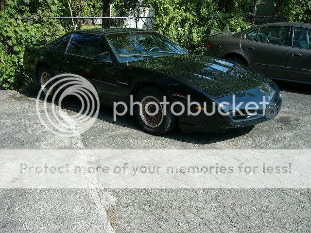 Firebird.jpg