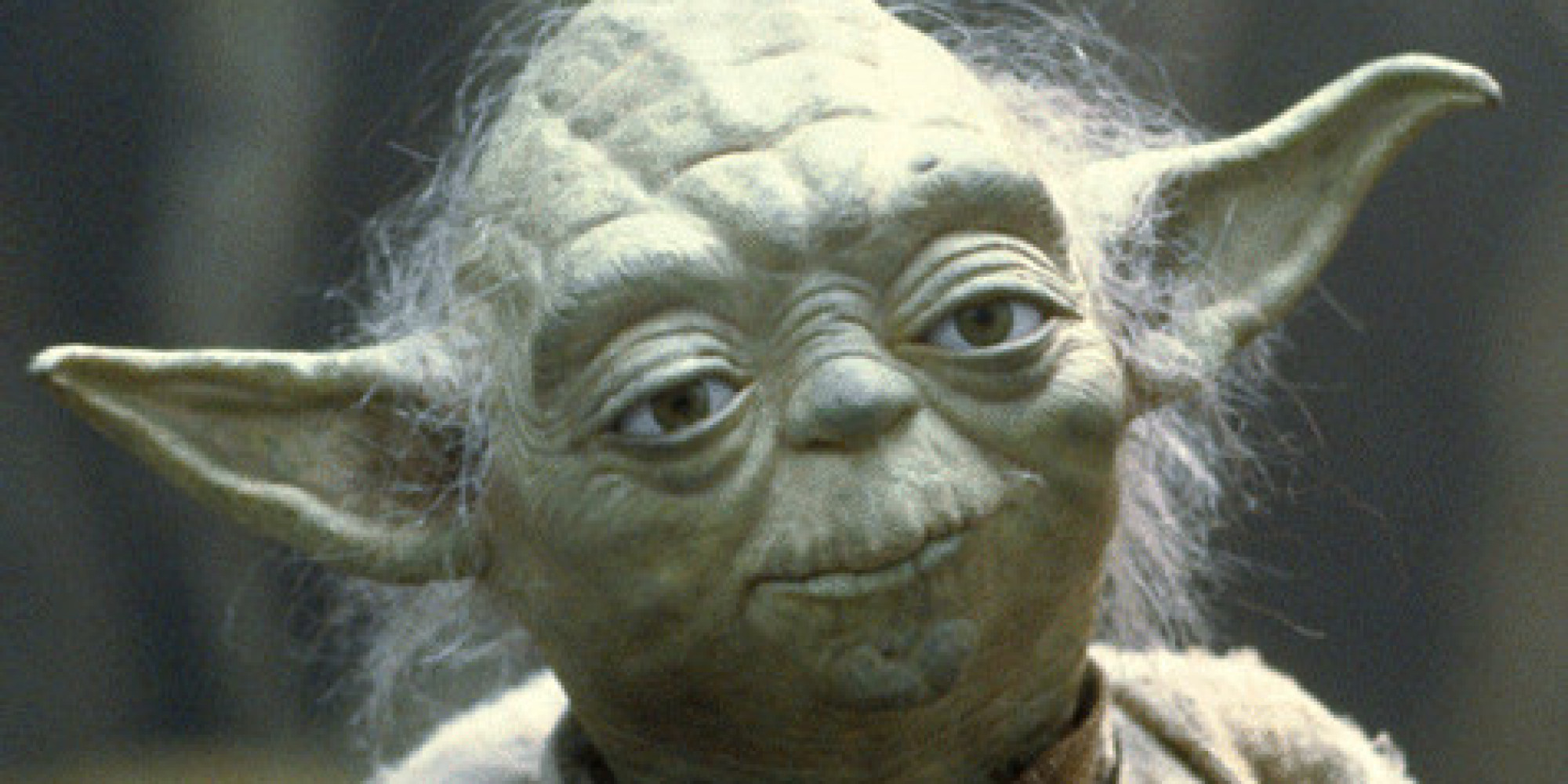 yoda.jpg