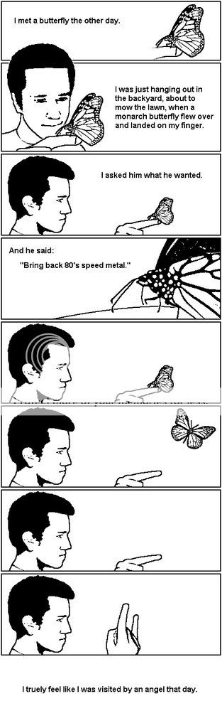 butterfly229.jpg