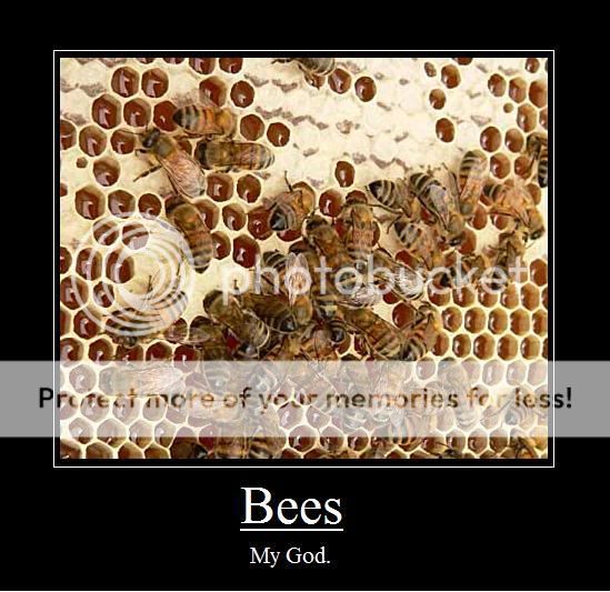 working_bees_lg.jpg