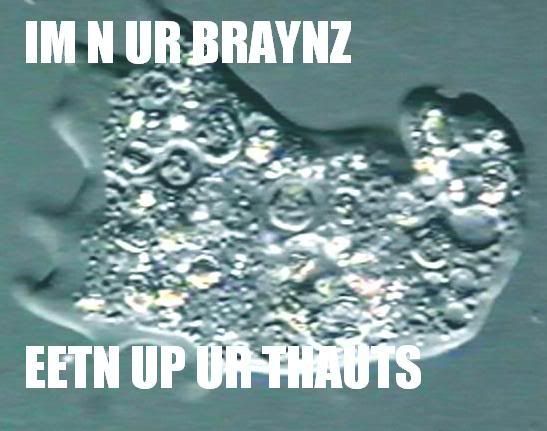 LOLBRAINAMOEBA.jpg