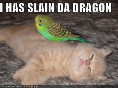 LOLcat-Adorable.jpg