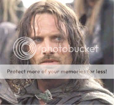 Viggo_1.jpg
