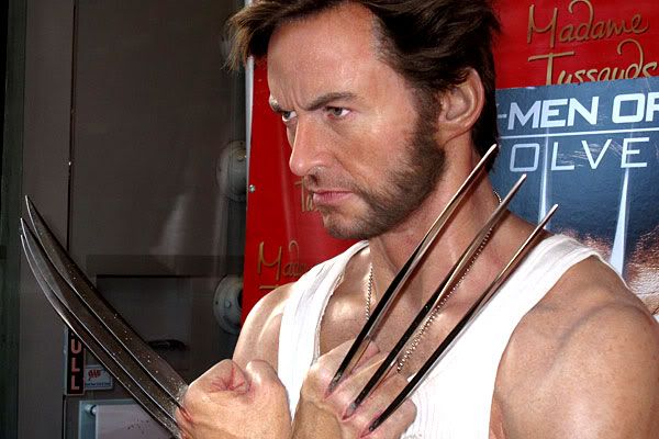 04_wolverine20wax.jpg