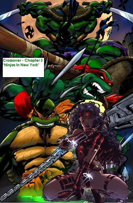 Chapter3-NinjasInNewYork.jpg