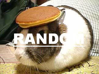 RANDOM-1.jpg