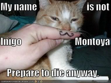LOLcat-Inigo.jpg