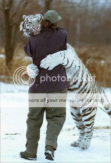 tiger_hug.jpg