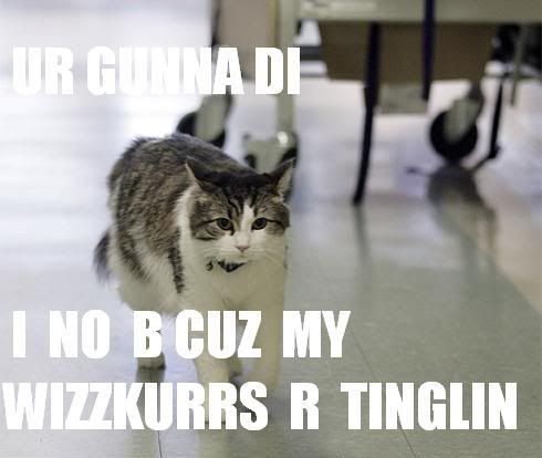 LOLDETHCAT.jpg