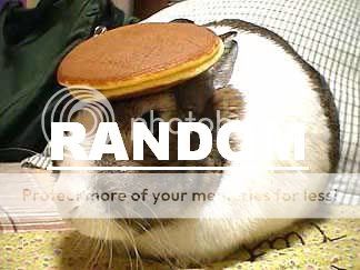RANDOM-1.jpg