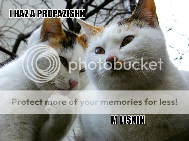 1180073507436.jpg