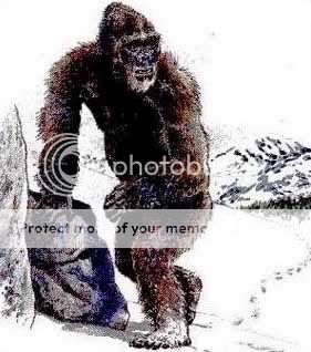 yeti.jpg