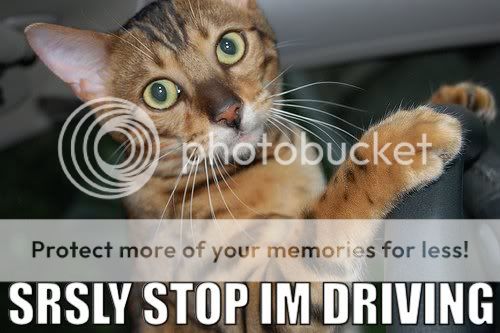 1180091067116.jpg