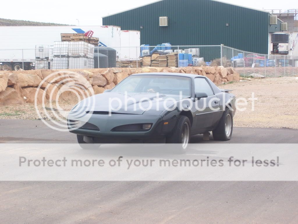 Firebird01.jpg