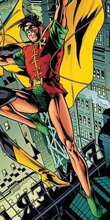 robin1.jpg