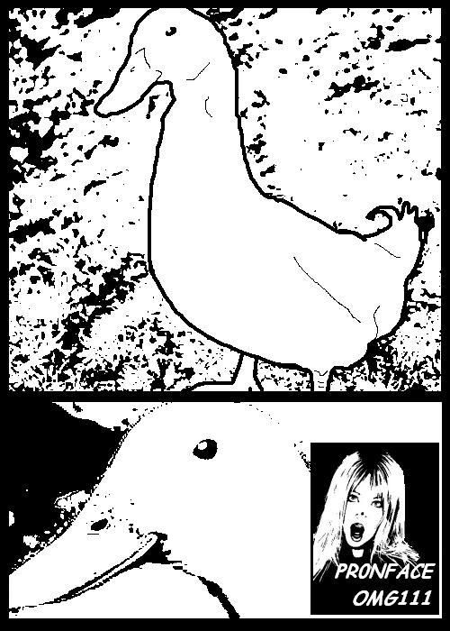 GregLandDuck2.jpg