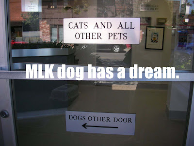 dream.jpg