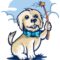 www.magicalguides.com
