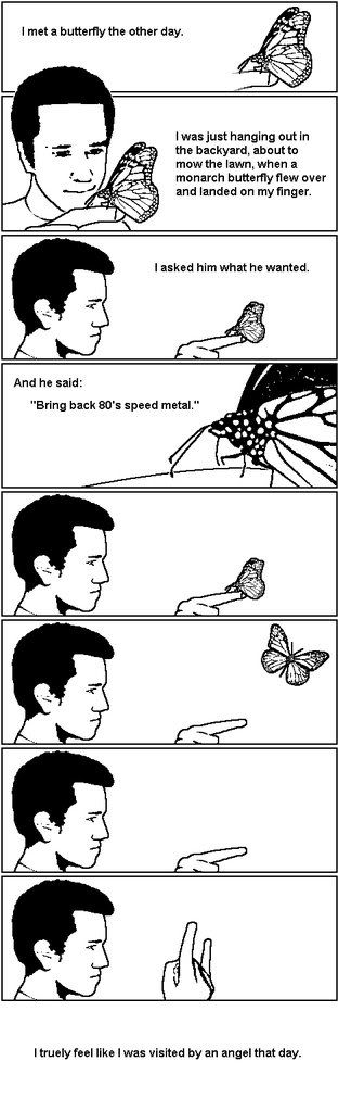 butterfly229.jpg