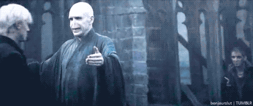 tumblr_mc10ogNFGA1r58wor.gif