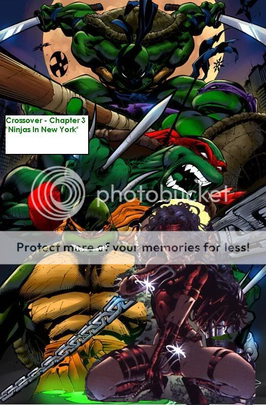 Chapter3-NinjasInNewYork.jpg