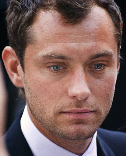 Jude_Law_at_TIFF1.jpg