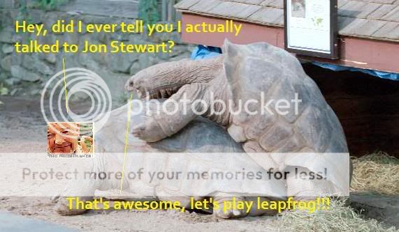 turtles-doin-it.jpg