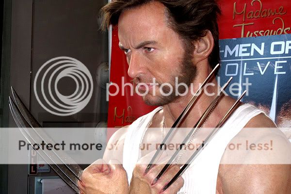 04_wolverine20wax.jpg