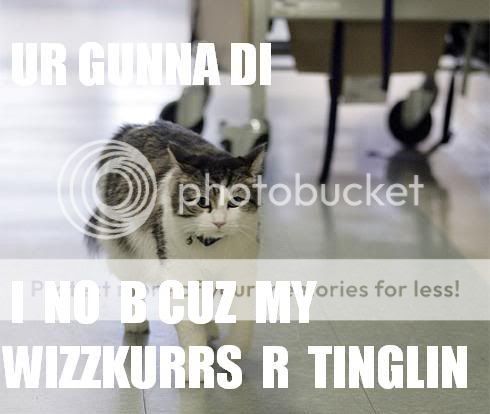 LOLDETHCAT.jpg