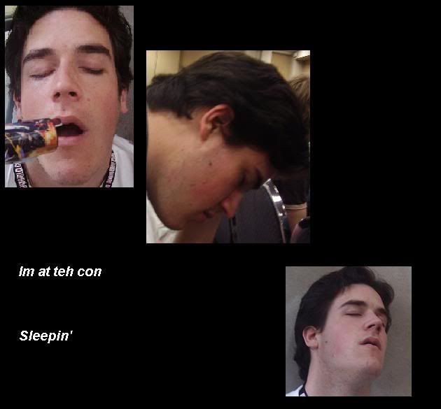 Maxsleeping.jpg