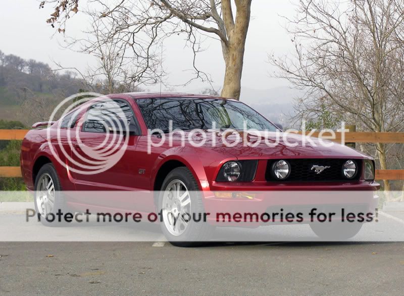 Mustang.jpg