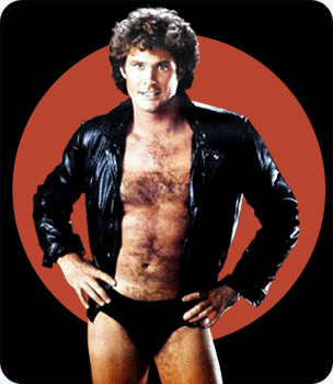 hasselhoff.png