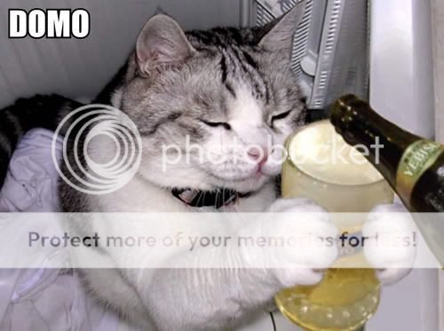 domo.jpg