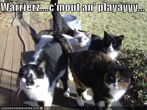 Cats-CatsStandingTogetherWarriorsCo.jpg