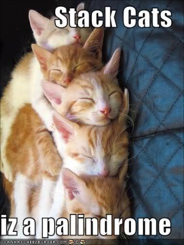 LOLcat-Stack.jpg
