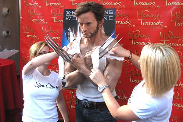 02_wolverine20wax.jpg