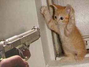 KillKitten.jpg