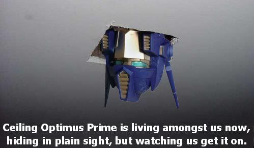 07-lolbot-peekingprime.jpg