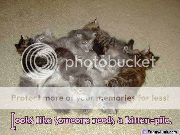 kittenpile.jpg